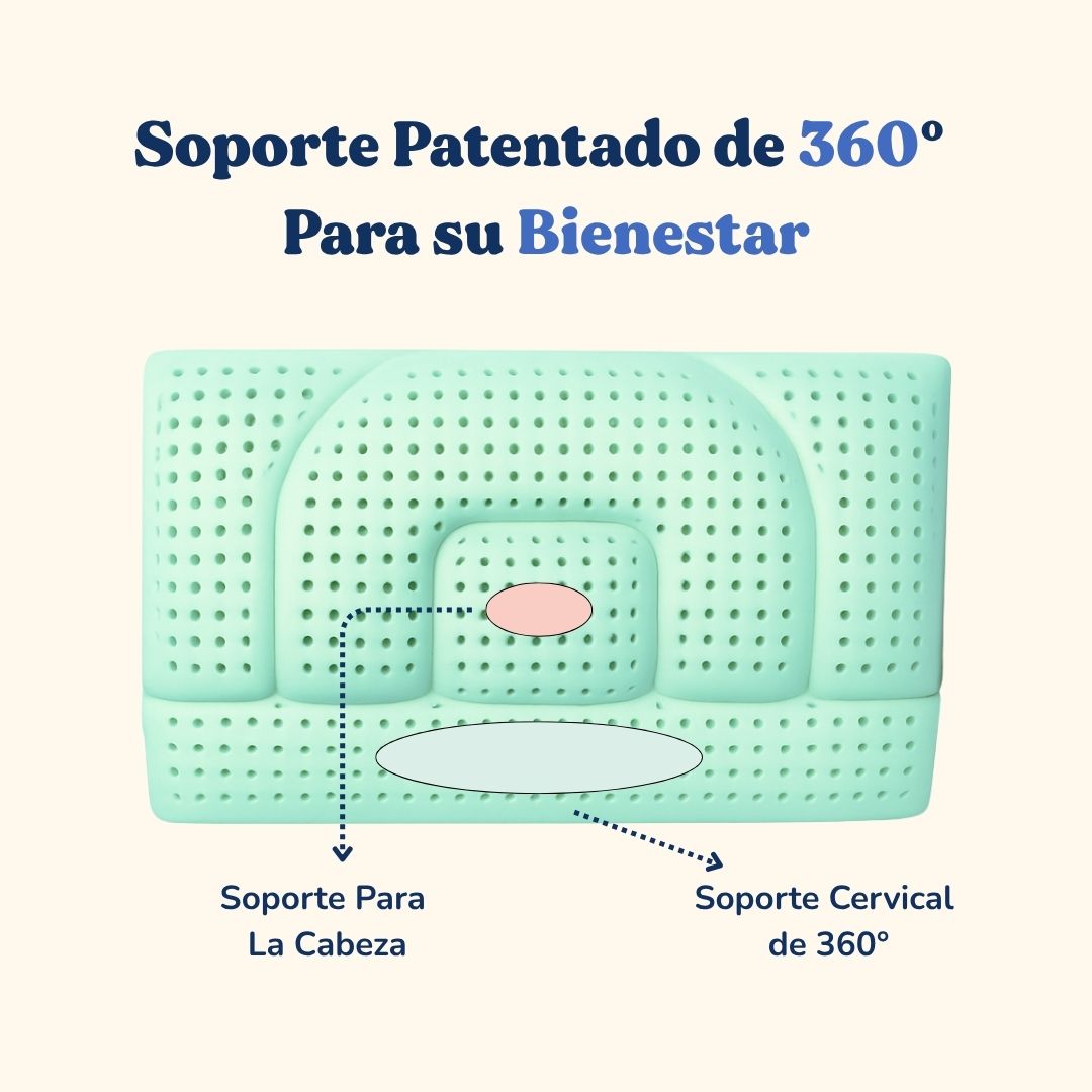 Almohada Regulable En Altura - Aloe Vera